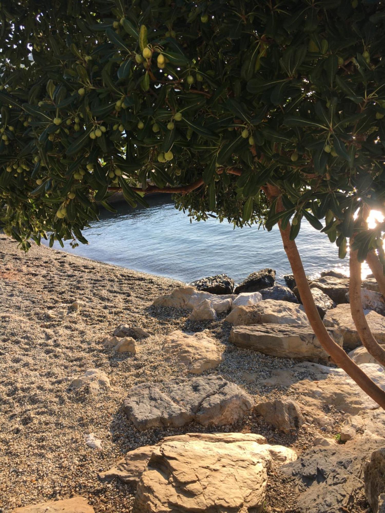 Casa Rossa Daire Porto Venere Dış mekan fotoğraf